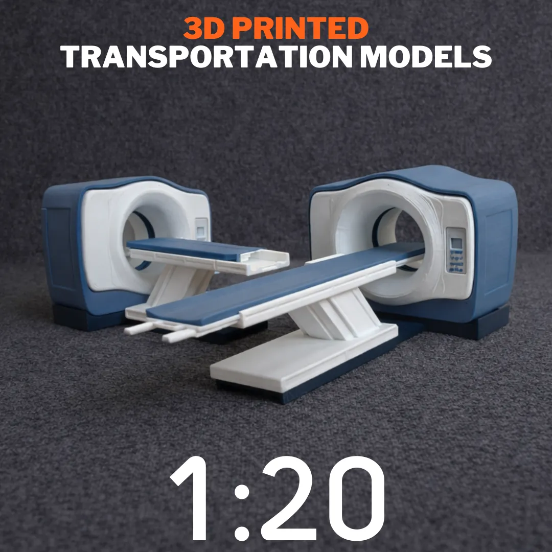 3D Printing Medical Models Scale 1:20