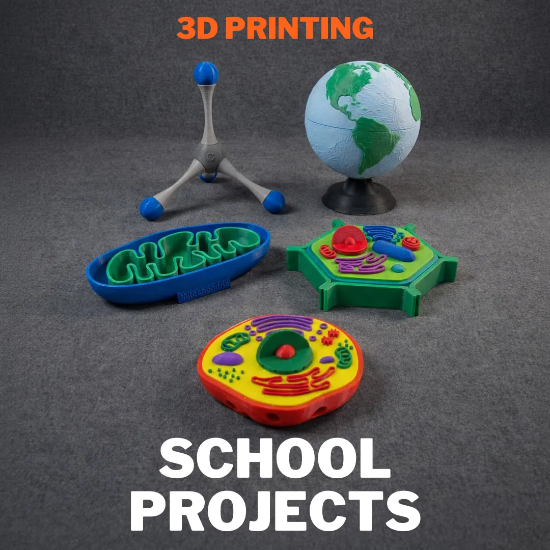3D Printing School Projects