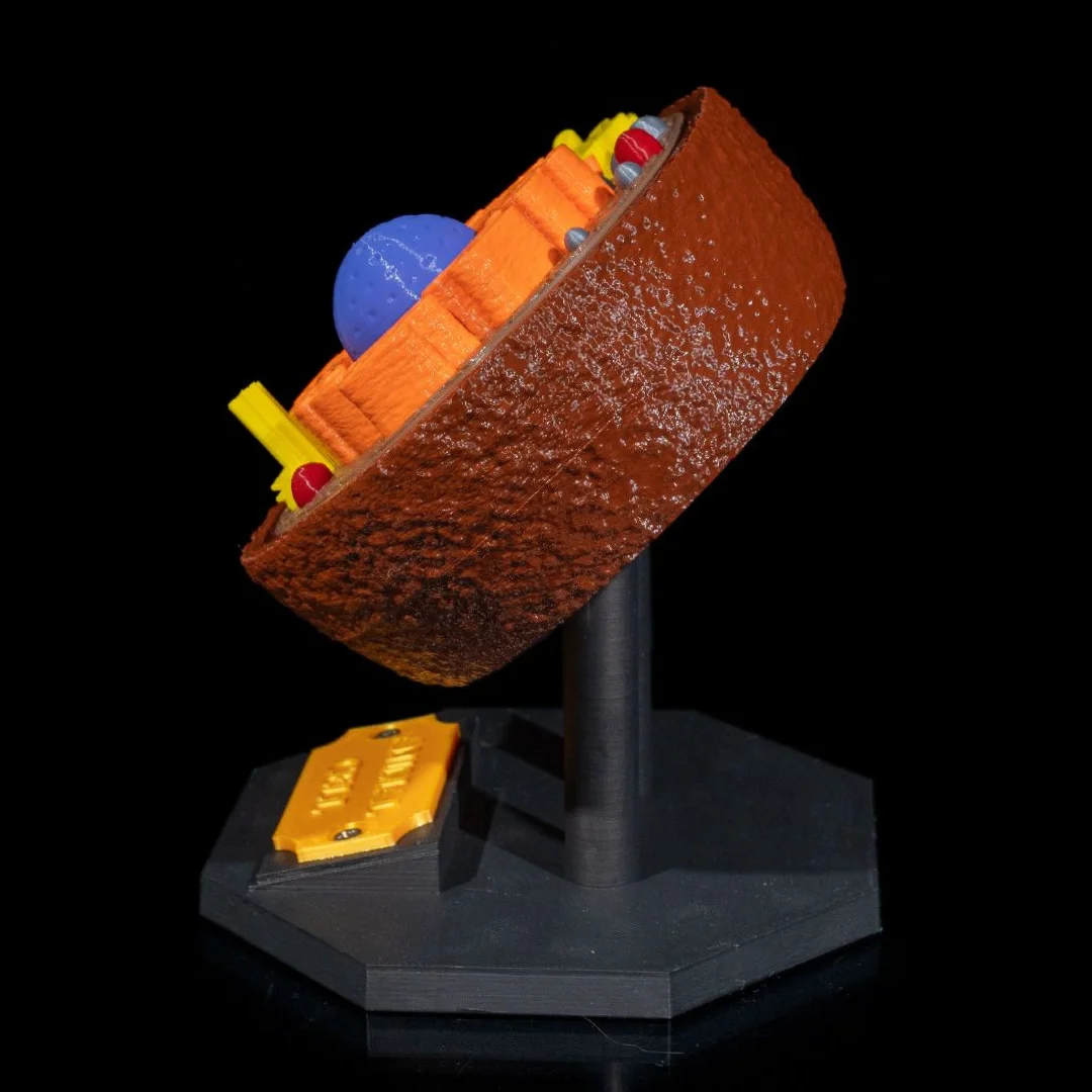 Side view of an animal cell model showing its cross-section depth.