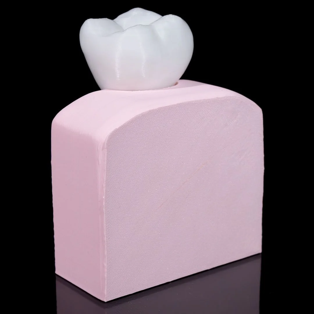 Rear view of a dental implant teaching model with the tooth crown above the base.