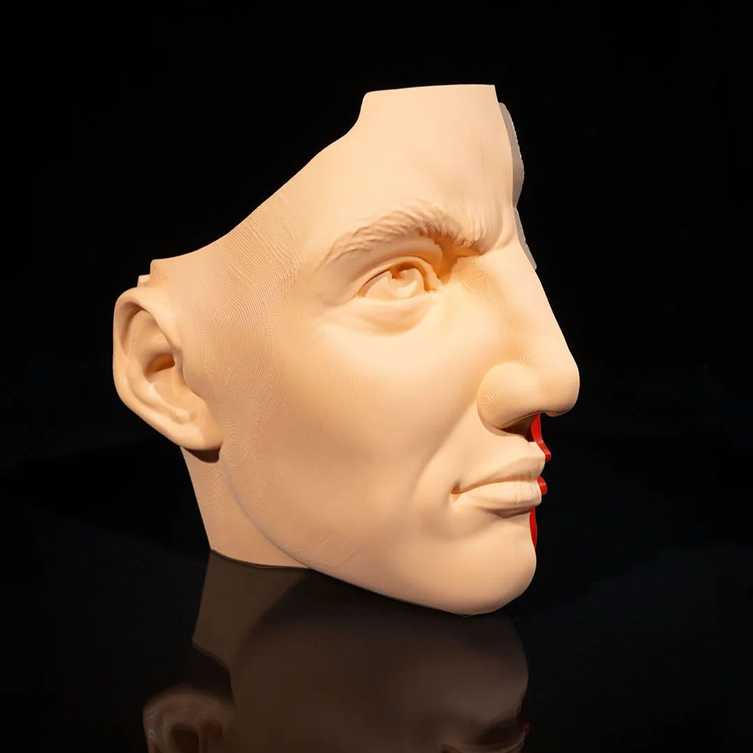 Outer side view of a nose and sinus teaching model.