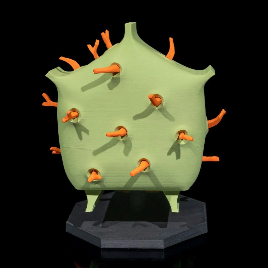 Rear view of a plant cell teaching model on its stand.