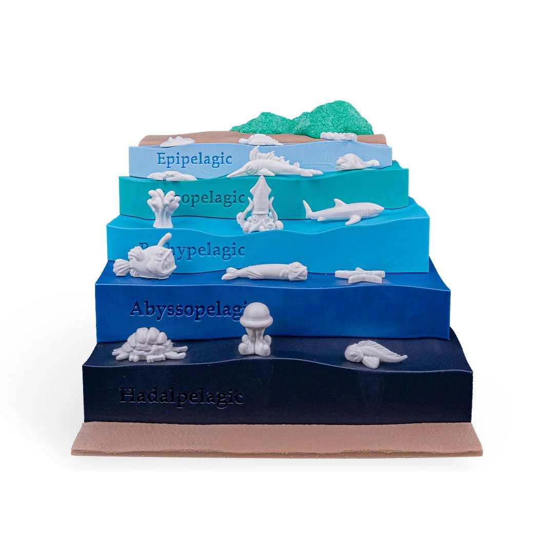 Front view of an ocean zones model with marine animal miniatures on stepped levels.