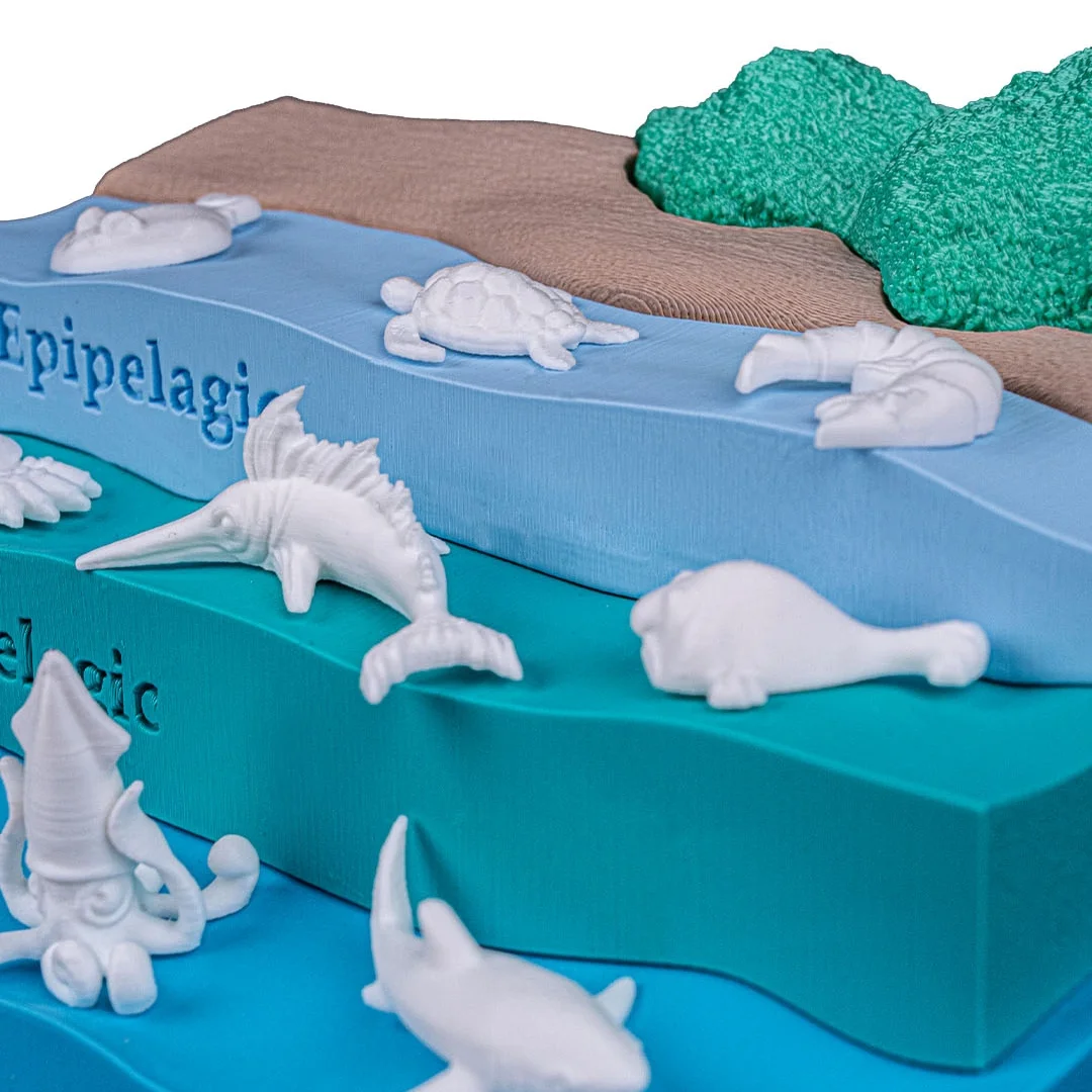 Close view of marine animal miniatures on the upper ocean zones.