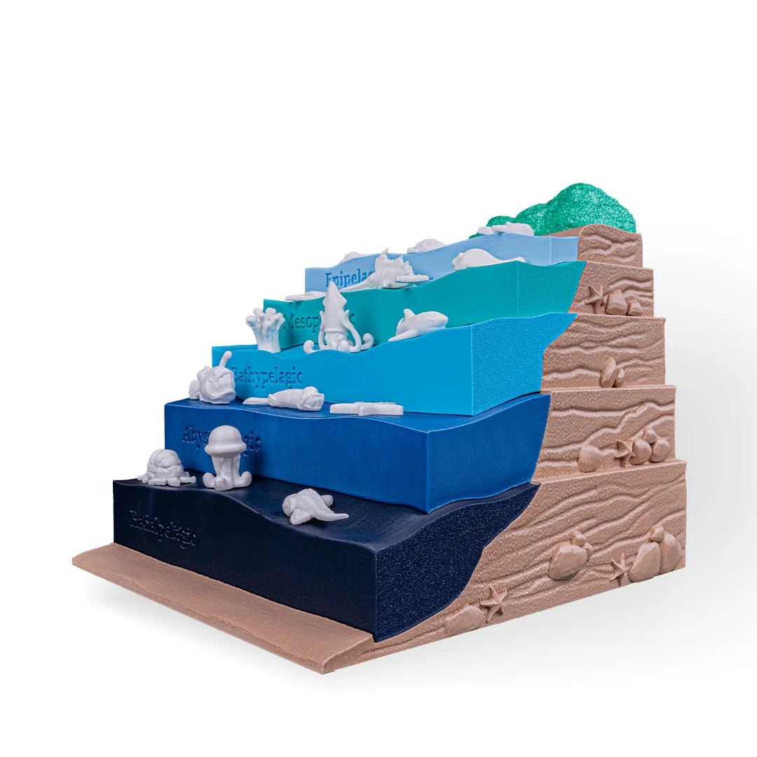 Angled view of the stepped ocean zones teaching model.