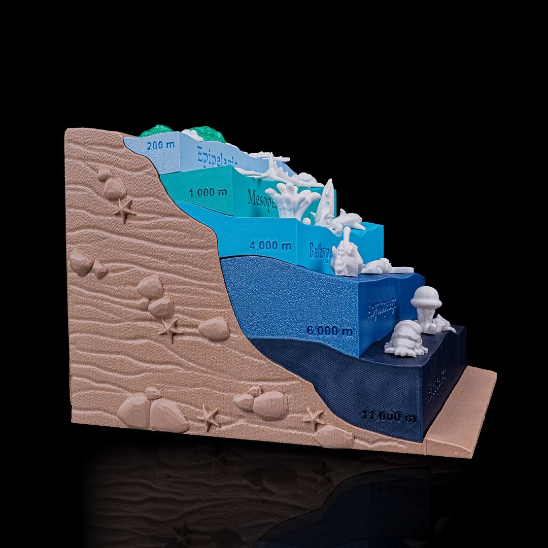 Angled side view of an ocean model with depth markings.