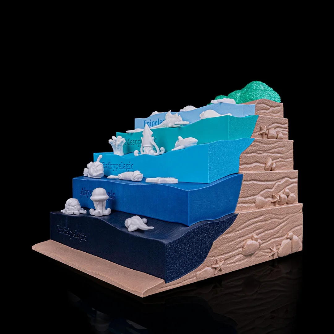 Wide angled view of an ocean zones model with marine figures.