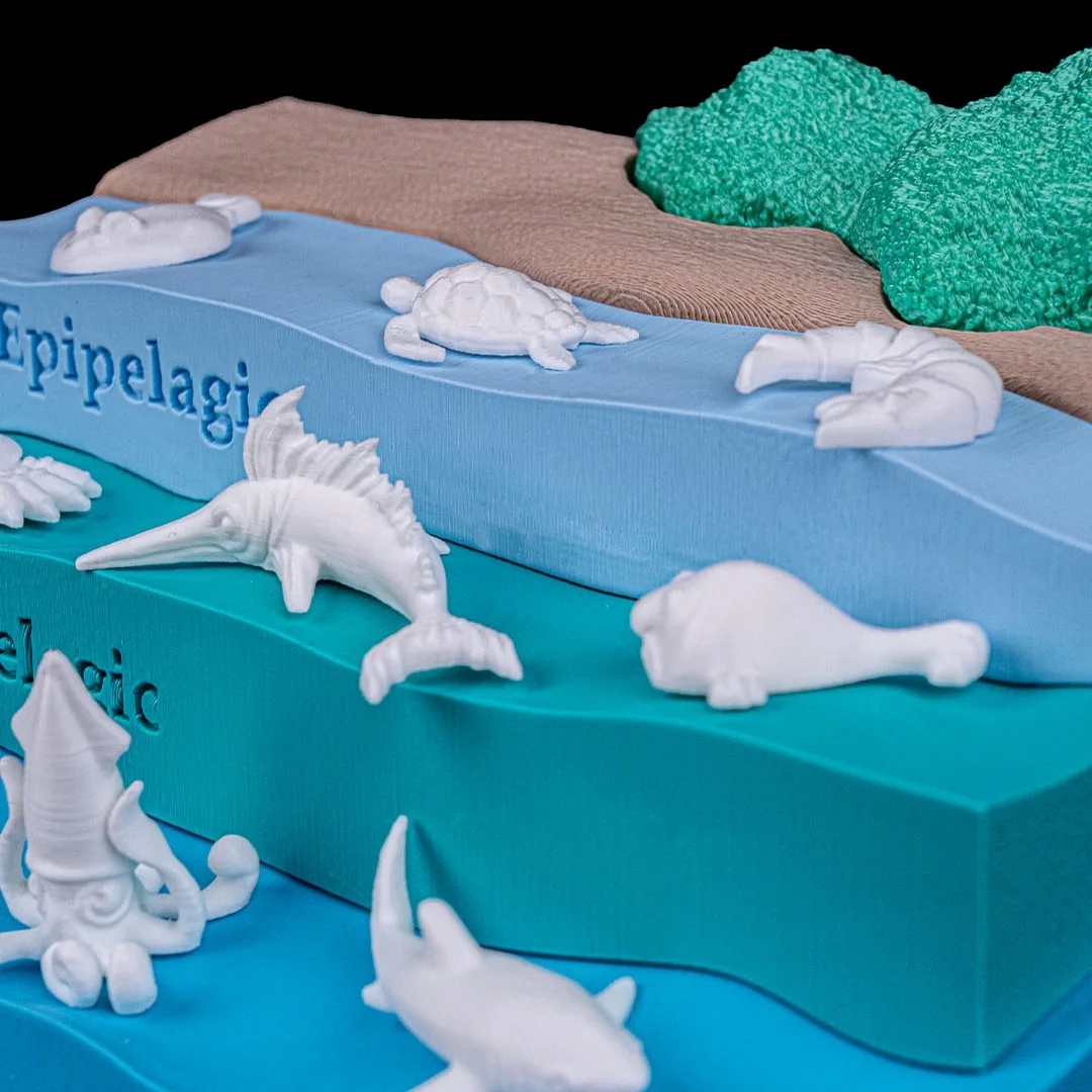 Close view of the upper ocean levels and marine miniatures.