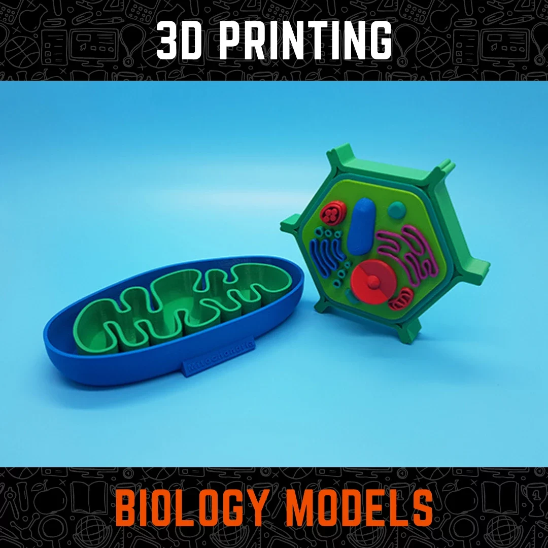 3D Printing Biology Models