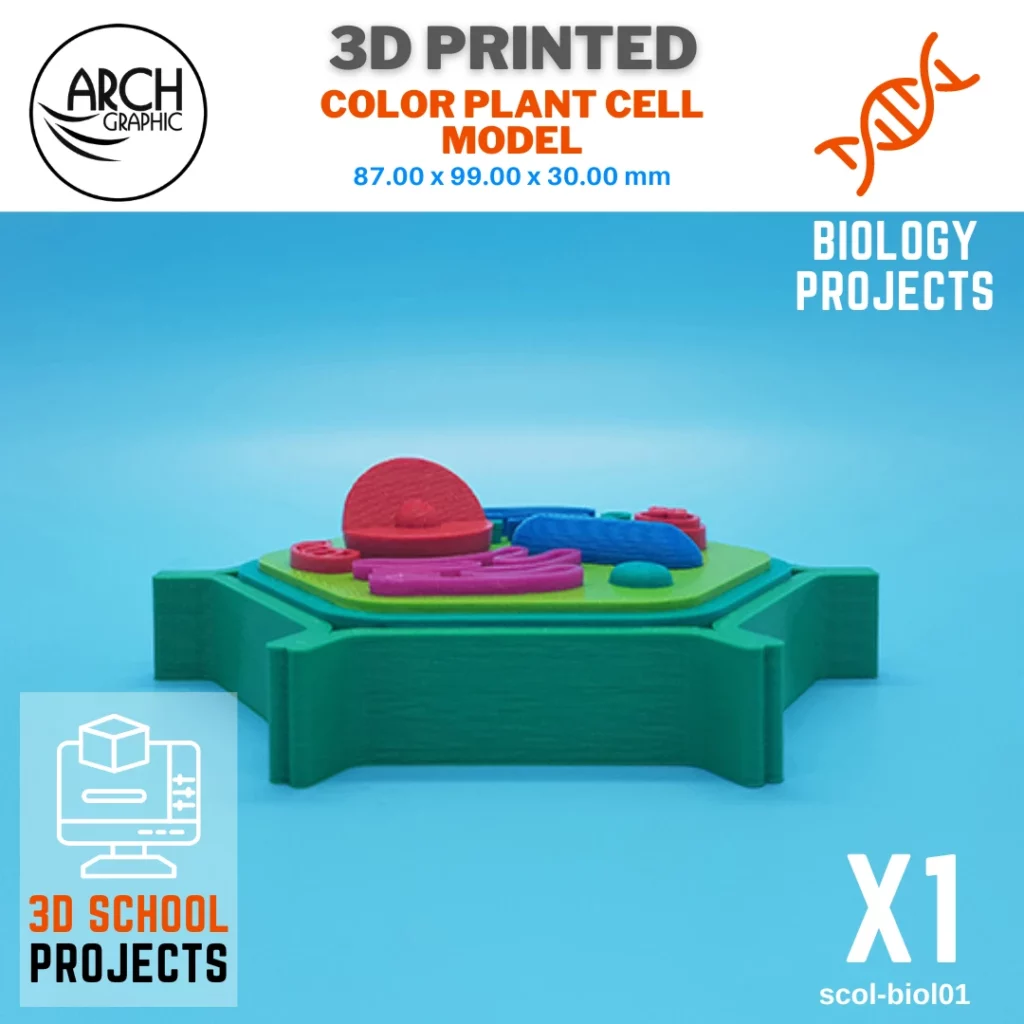 3D Printed Color Plant Cell for 3D Printed School Projects