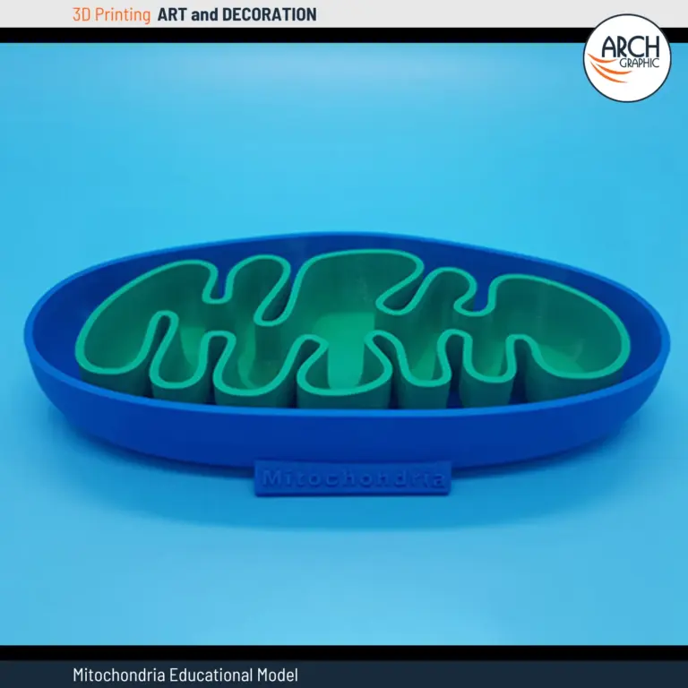 3D Printed Mitochondria Educational Model