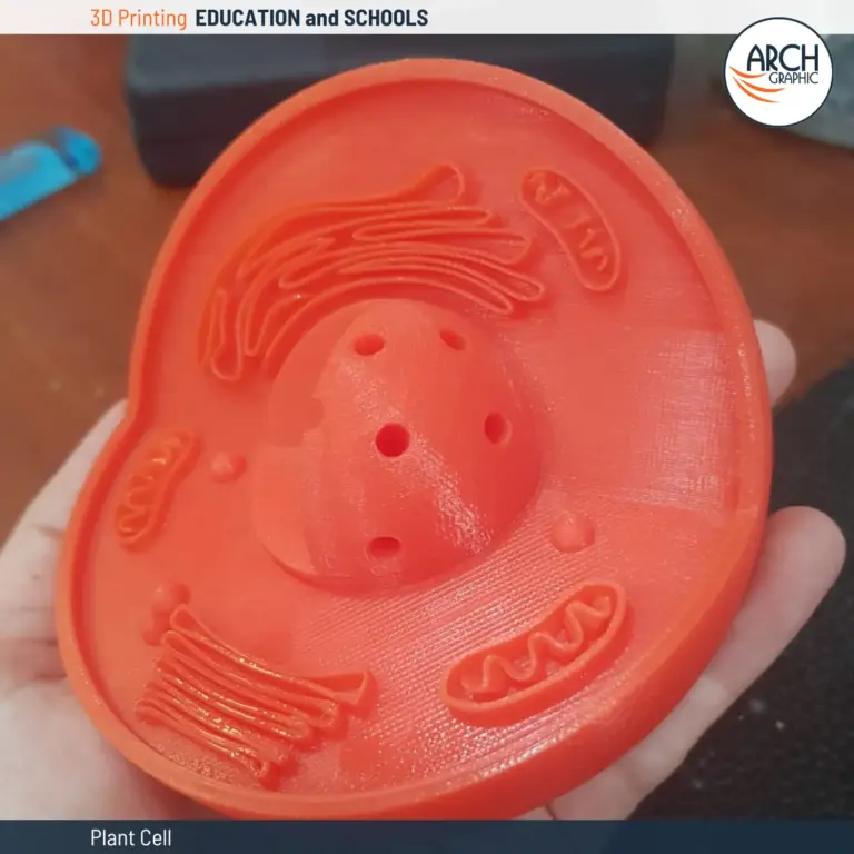 3D Printed Cell Model