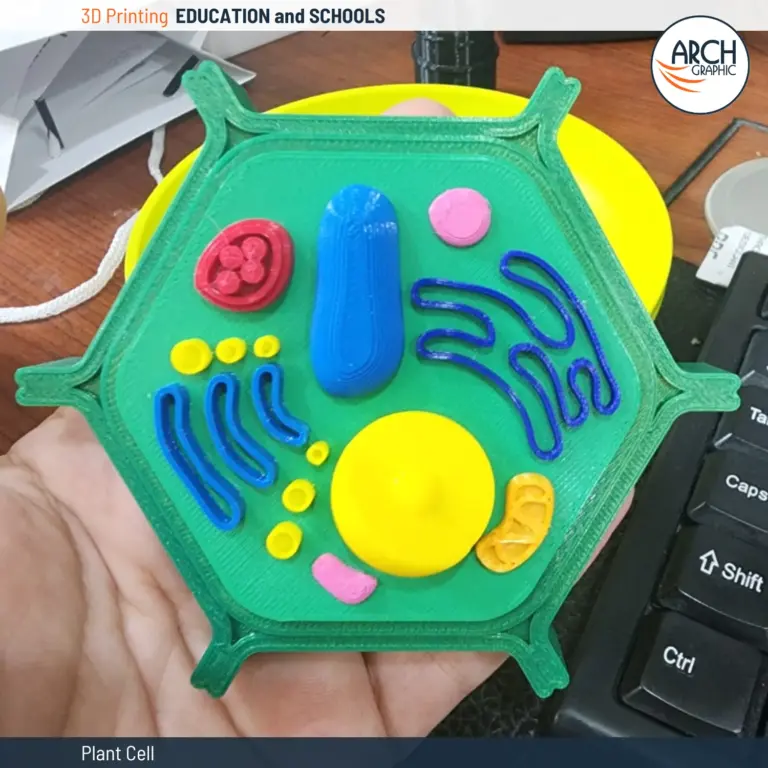 3D printed plant cell model for biology and school projects in UAE