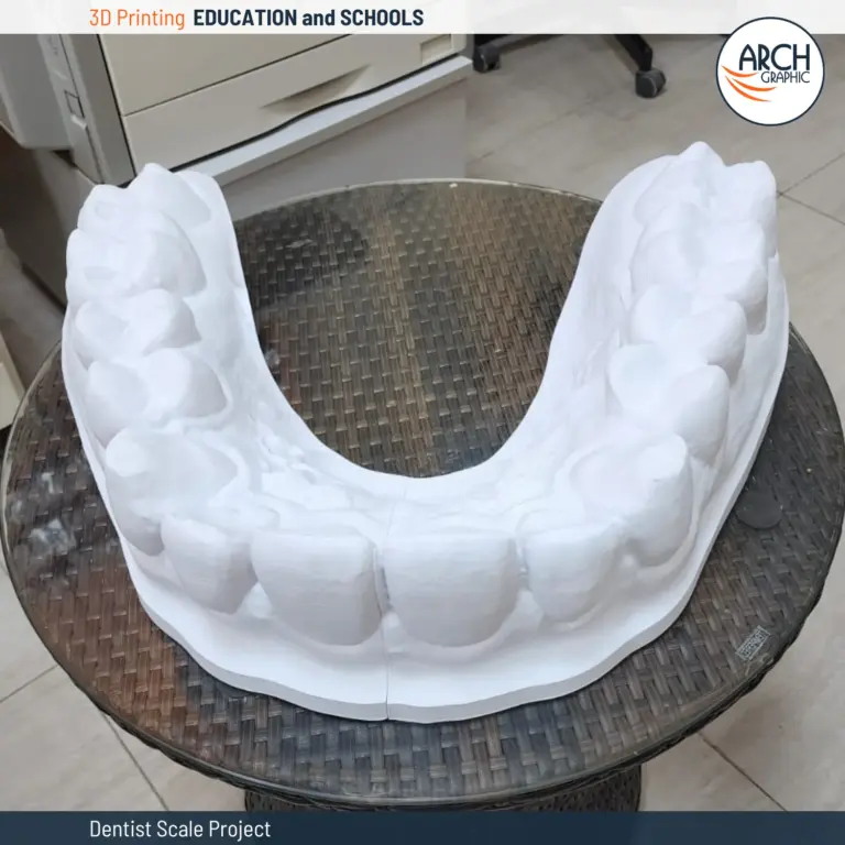 3D printed dental model for student projects in UAE