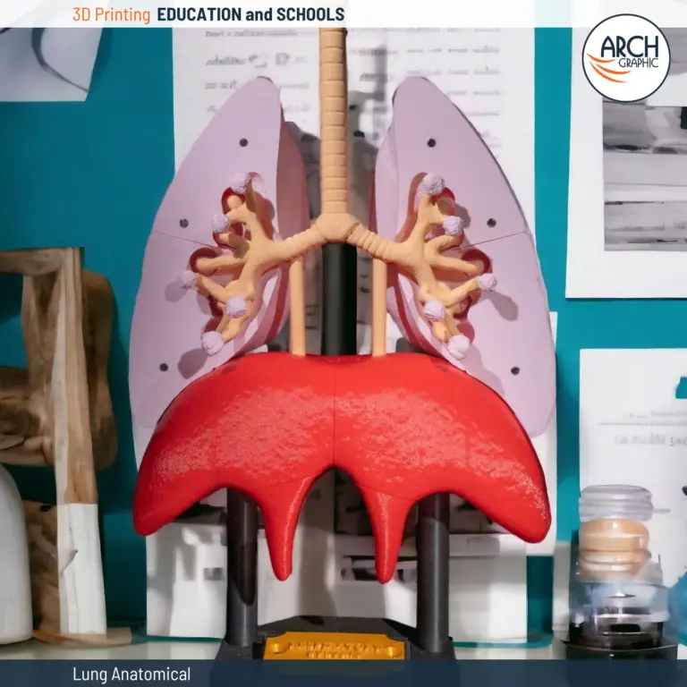 3D printed anatomical lung model with trachea and lobes.