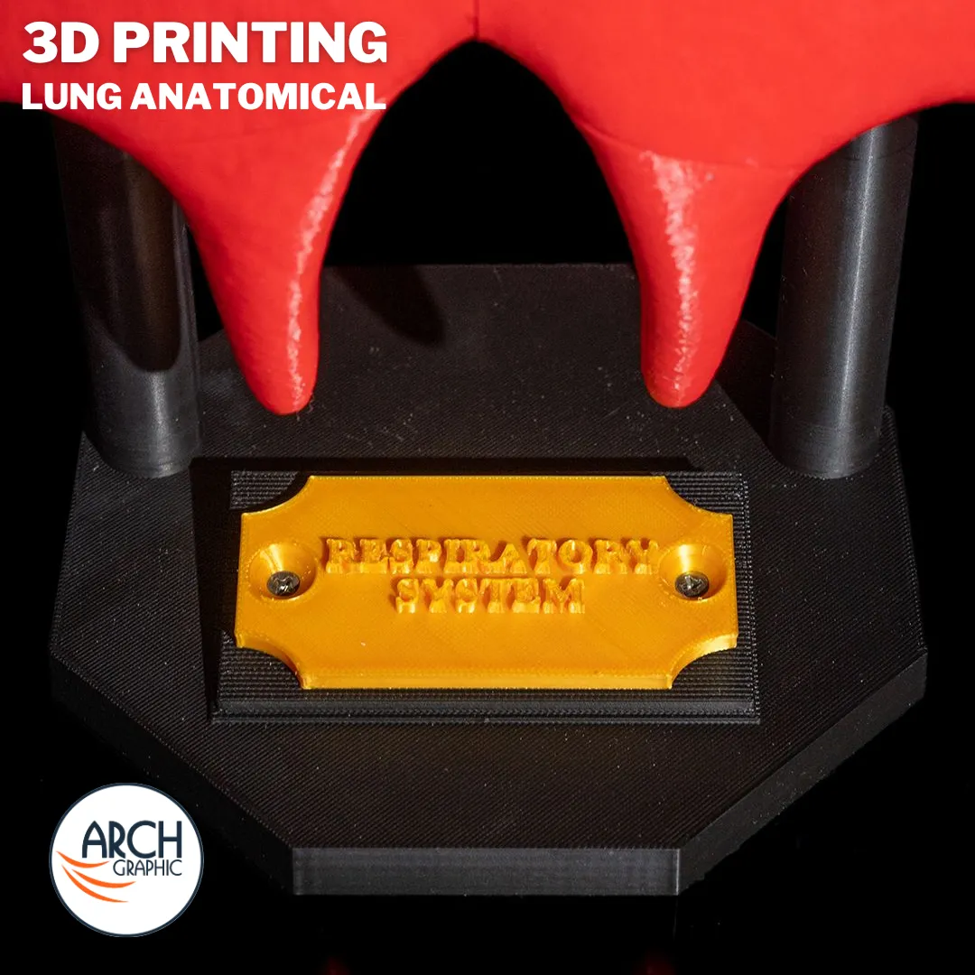 3D printed lung medical model designed for university training and professional workshops in UAE