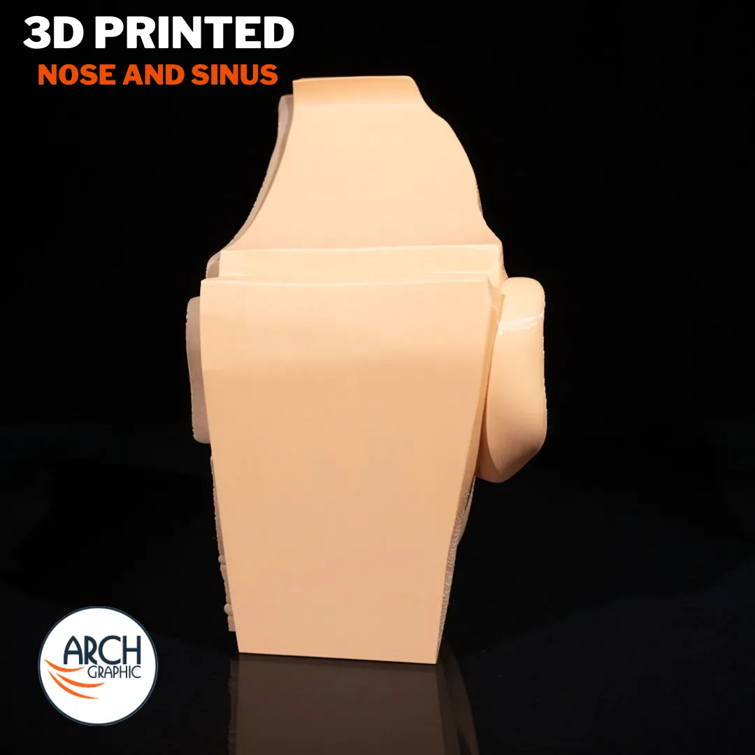 3D printed nose and sinus training model for anatomy lessons in schools, universities, and medical centers in UAE